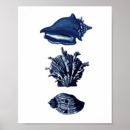 Seashells Navy Blue Decor ポスター