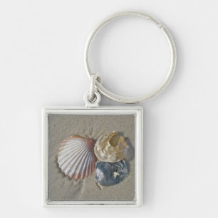 Seashells on theビーチ・ビジネス・カード キーホルダー