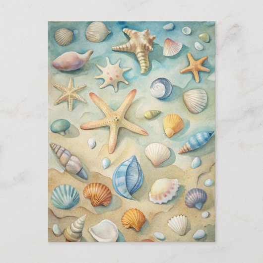 Seashells Starfish Coastal Beach Nautical Art ポストカード (正面)