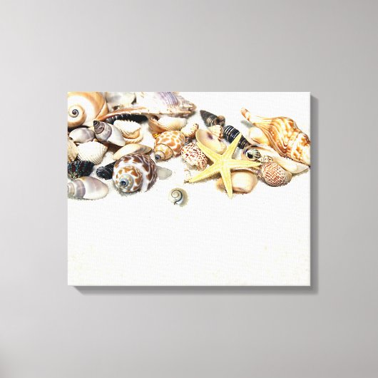Seashells Stretted Canvas Print キャンバスプリント (正面)