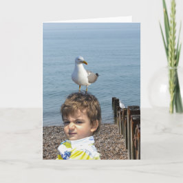 Seaside Living. カード