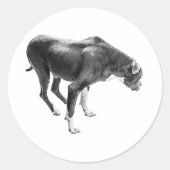 Season of Loyalty ラウンドシール (正面)