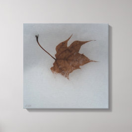 Seasonal Transitions Stretched Canvas Print キャンバスプリント