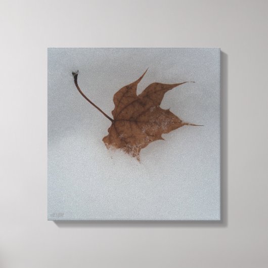 Seasonal Transitions Stretched Canvas Print キャンバスプリント (正面)