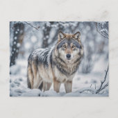 Seasons Greeting Christmas Wolf in Snow シーズンポストカード (正面)