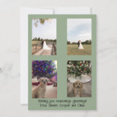 Seasons Greeting Garland and Mistletoe 招待状 (裏面)