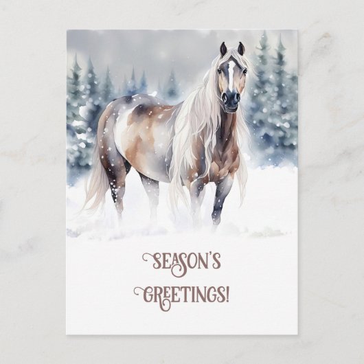 Seasons Greeting Horse in the Snow シーズンポストカード (正面)