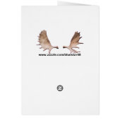 Season's Greetings – 雪の上のムークルズ (裏面)