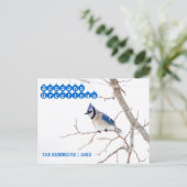 Season's Greetings - Blue Jay's 食べ物を与え in Snow シーズンポストカード (スタンド正面)