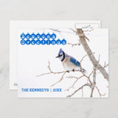 Season's Greetings - Blue Jay's 食べ物を与え in Snow シーズンポストカード (正面/裏面)