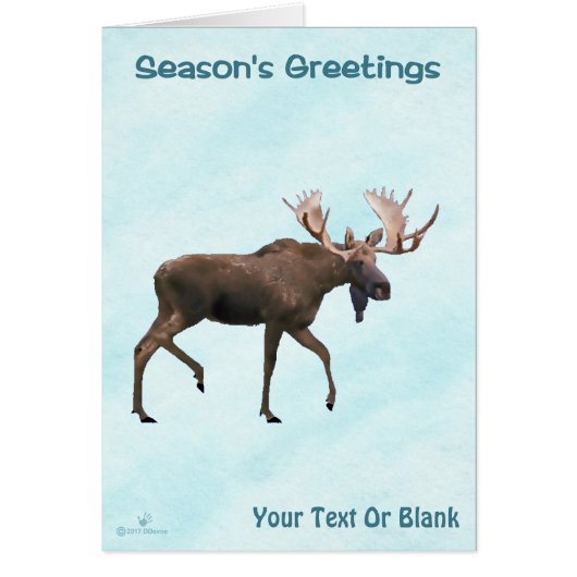 Season's Greetings - Bull Moose On Snow (正面)