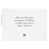 Seasons Greetings Card (lake & woods photo scene) (裏面横)