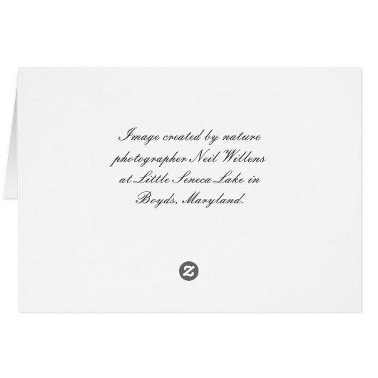 Seasons Greetings Card (lake & woods photo scene) (裏面横)