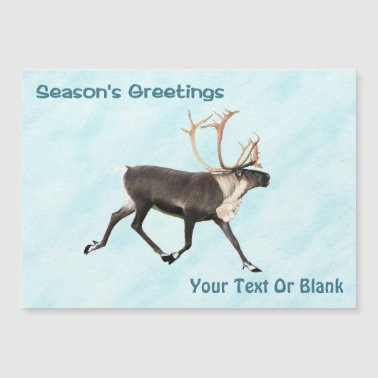 Season's Greetings - Caribou （トナカイ） On Snow (正面)
