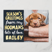 Season's Greetings Funny Modern Pet Custom Photo 箔シーズンカード (正面)