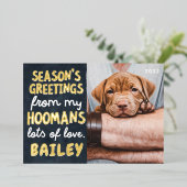 Season's Greetings Funny Modern Pet Custom Photo 箔シーズンカード (立ち正面)