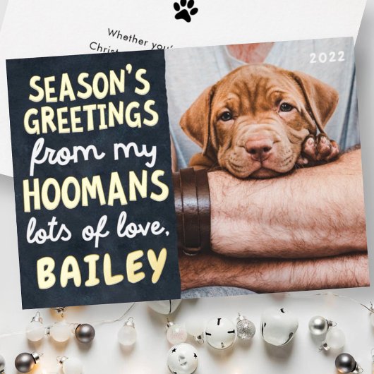 Season's Greetings Funny Modern Pet Custom Photo 箔シーズンカード