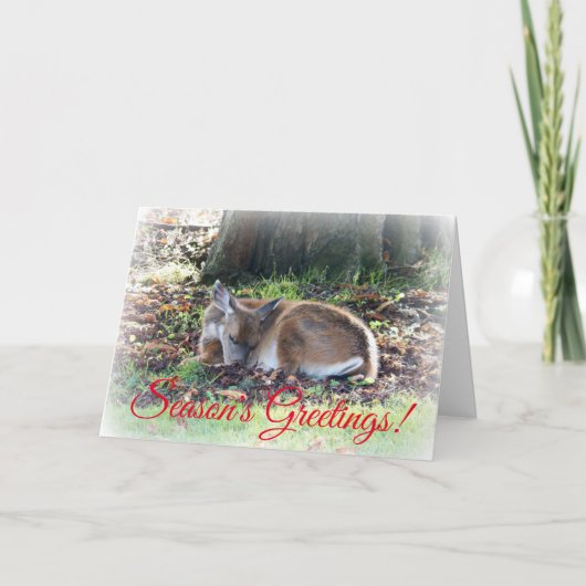 Season's Greetings Sleeping Deer Nature シーズンカード (正面)