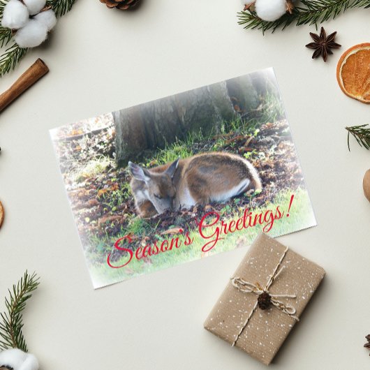 Season's Greetings Sleeping Deer Nature シーズンカード