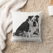 Seated Bulldog, Quiet Tones クッション (ブランケット)