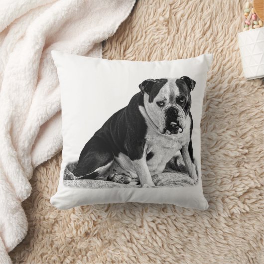 Seated Bulldog, Quiet Tones  クッション (ブランケット)