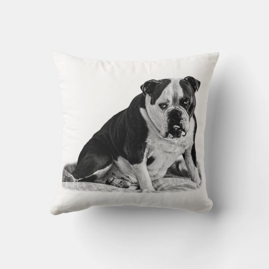 Seated Bulldog, Quiet Tones  クッション (裏面)