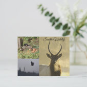 Seattle Wildlife ポストカード (スタンド正面)