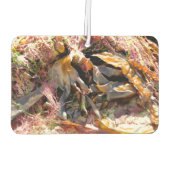 SEAWEED カーエアーフレッシュナー (裏面)