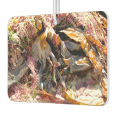 SEAWEED カーエアーフレッシュナー (左)