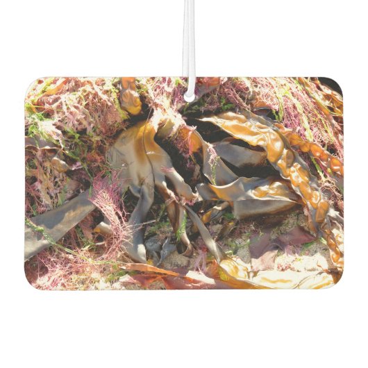 SEAWEED カーエアーフレッシュナー (正面)