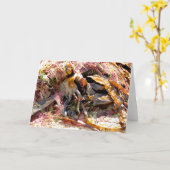 SEAWEED カード (黄色い花)