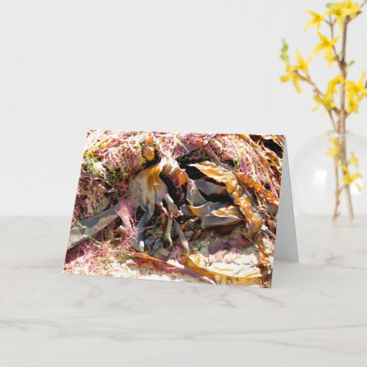 SEAWEED カード (黄色い花)