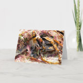 SEAWEED カード (正面)