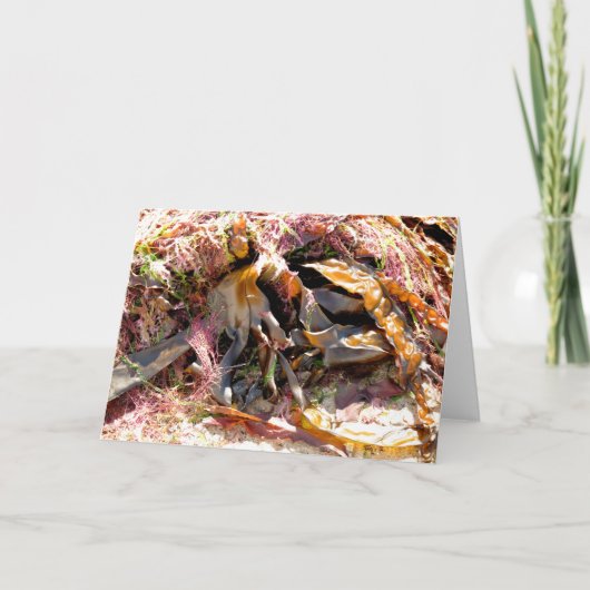 SEAWEED カード (正面)