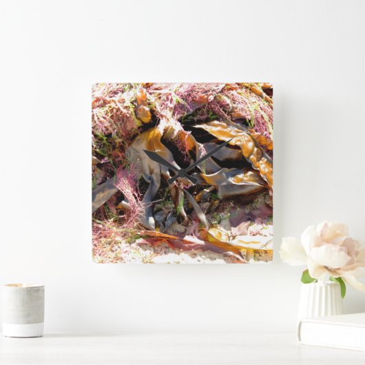 SEAWEED スクエア壁時計 (ホーム)