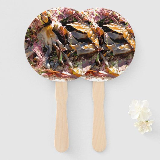 SEAWEED ハンドファン (正面&裏面)