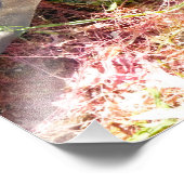 SEAWEED フォトプリント            (角)