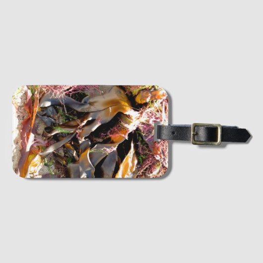 SEAWEED ラゲッジタグ (正面横)