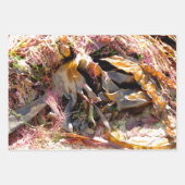 SEAWEED ラッピングペーパーシート (正面3)