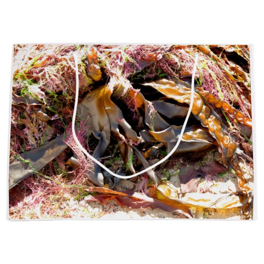 SEAWEED ラージペーパーバッグ (正面)