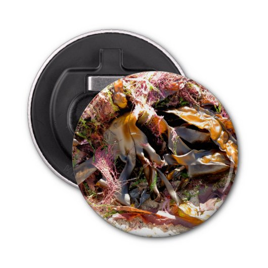 SEAWEED 栓抜き (正面)