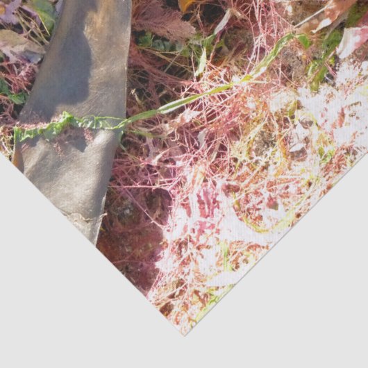 SEAWEED 薄葉紙 (詳細)