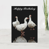 SEBASTOPOL GEESE PHOTO BLACK GREETING CARD(セバストポル・ カード (正面)