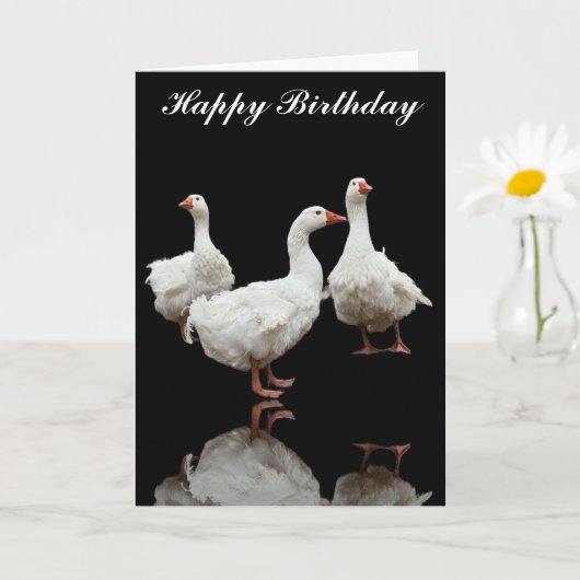 SEBASTOPOL GEESE PHOTO BLACK GREETING CARD(セバストポル・ カード (小さな植物)