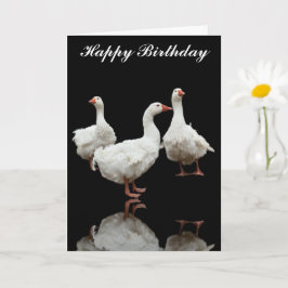 SEBASTOPOL GEESE PHOTO BLACK GREETING CARD（セバストポル・ カード