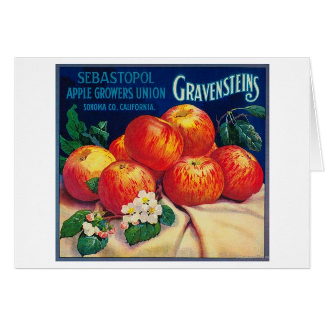 Sebastopol Gravensteins Apple LabelSonoma、カリフォルニア州 (正面横)