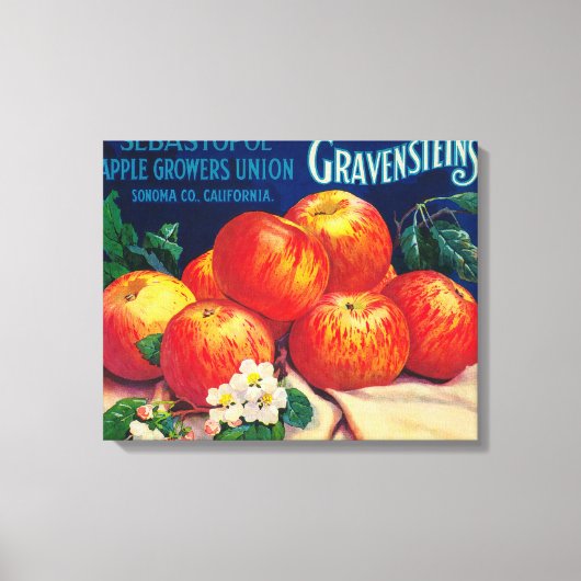 Sebastopol Gravensteins Apple LabelSonoma、カリフォルニア州 キャンバスプリント (正面)