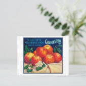 Sebastopol Gravensteins Apple LabelSonoma、カリフォルニア州 ポストカード (スタンド正面)
