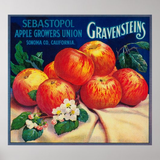 Sebastopol Gravensteins Apple LabelSonoma, CA ポスター (正面)