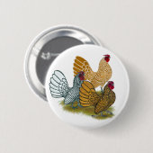 Sebrightのオンドリの類別 缶バッジ (正面&裏面)